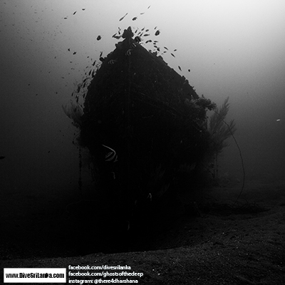 Black Coral Wreck - Colombo